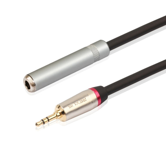 REXLIS TC128MF 3.5mm Male to 6.5mm Female Audio Adapter Cable, Length: 60cm by REXLIS