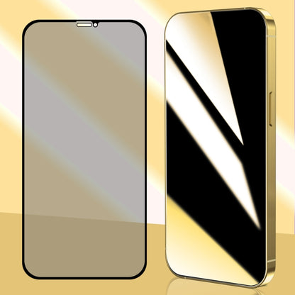 For iPhone 11 / XR ENKAY Hat-Prince 25 Degree Privacy 8K UHD AGC Tempered Glass Film by ENKAY