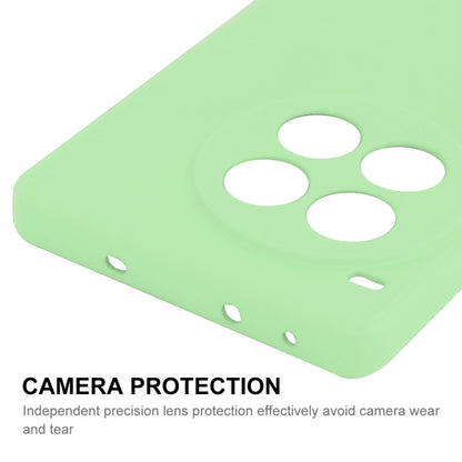 For OnePlus Ace 3 Pro ENKAY Liquid Silicone Soft Shockproof Phone Case(Light Green) by ENKAY