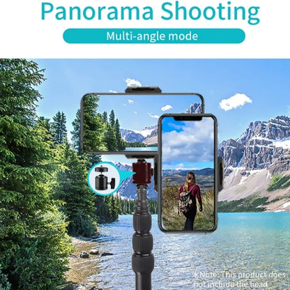 JMARY MT45 Cell Phone Clip Camera Mount Holder Telescopic Selfie Stick Outdoor Tripod Stand by bashfashion