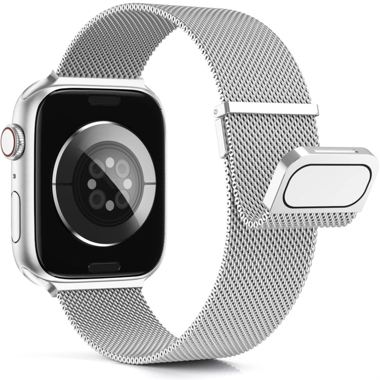 For Apple Watch 5 44mm Milan Double Magnetic Steel Mesh Watch Band(Silver) by bashfashion