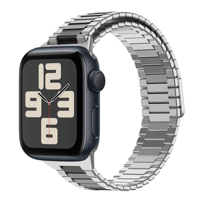 For Apple Watch SE 2023 44mm Bamboo Magnetic Stainless Steel Metal Watch Strap(Silver Black) by bashfashion