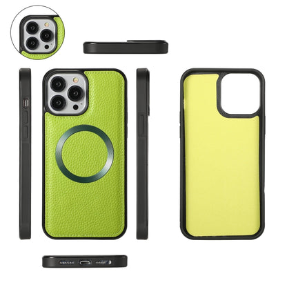 For iPhone 13 Pro MagSafe Crossbody Multi-functional Zipper Wallet Litchi Leather Phone Case(Green) by bashfashion