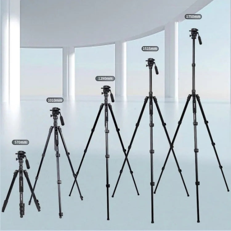 JMARY KT285+NB50 Camera Stand Extendable Height Aluminum Alloy Camera Holder Tripod by Jmary