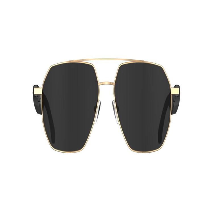 W100C Smart Glasses, Support AI Conversation / AI Intelligent Translation / Bluetooth Call(Black) by bashfashion