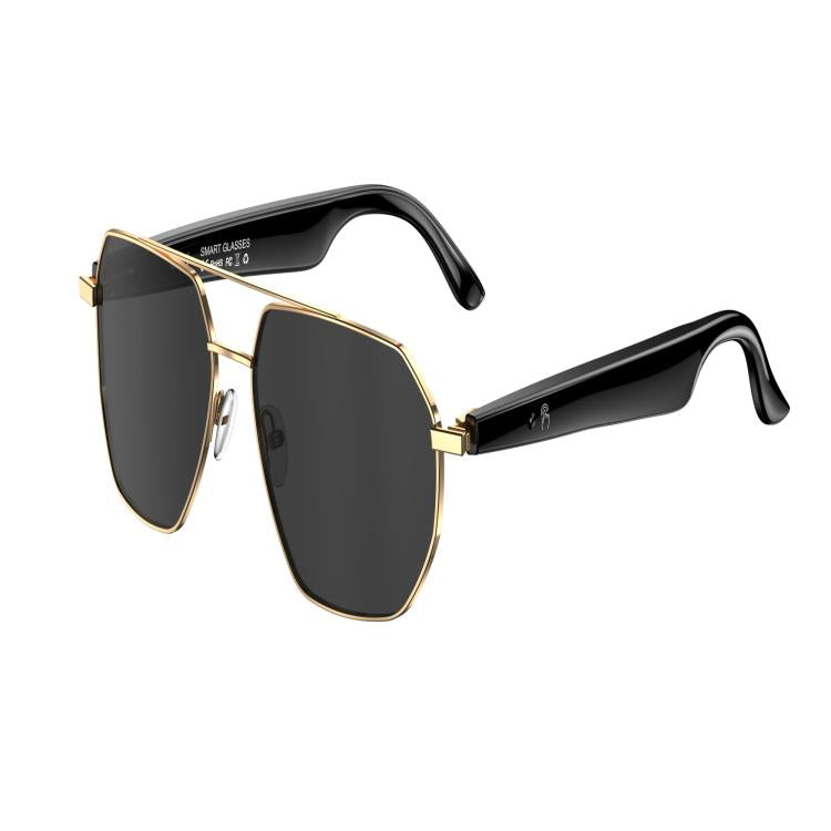 W100C Smart Glasses, Support AI Conversation / AI Intelligent Translation / Bluetooth Call(Black) by bashfashion