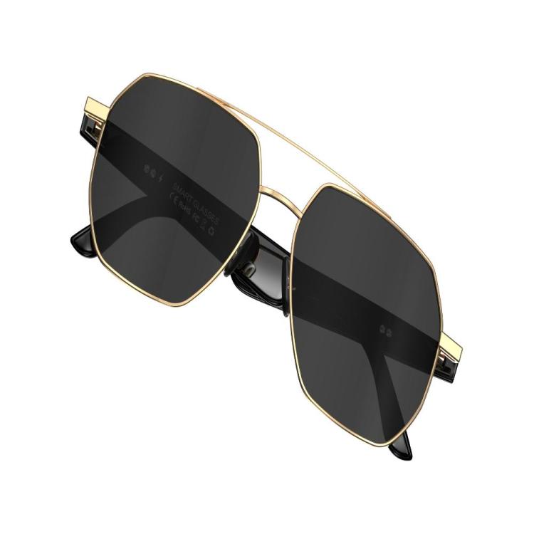 W100C Smart Glasses, Support AI Conversation / AI Intelligent Translation / Bluetooth Call(Black) by bashfashion