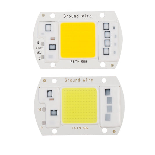 High Power 220V LED FloodlightCool/Warm White COB LED Chip IP65 Smart IC Driver Lamp(30W white) by bashfashion