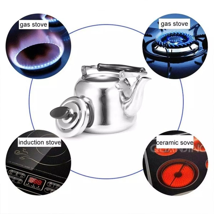 Stainless Steel Whistle Kettle for Induction Cooker Home Classical Piano Sound Singing Pot without Magnetic Heat, Capacity:1L by bashfashion