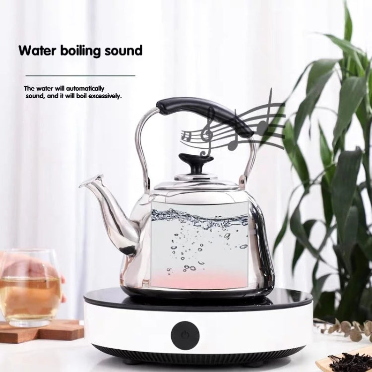 Stainless Steel Whistle Kettle for Induction Cooker Home Classical Piano Sound Singing Pot without Magnetic Heat, Capacity:2L by bashfashion