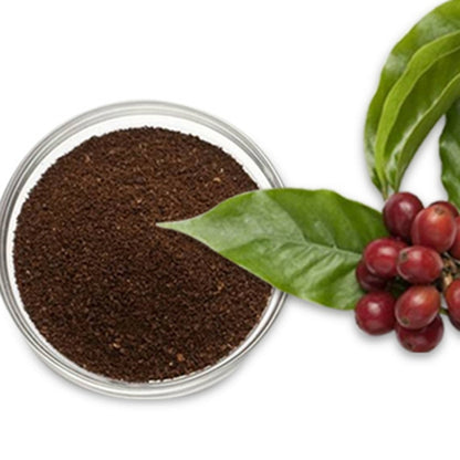 Stainless Steel Coffee Machine Filter Bracket Coffee Bottomless Wooden Handle by bashfashion