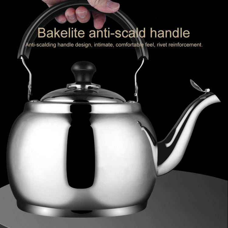 Stainless Steel Kettle Extra Thick Whistle Burning Kettle Home Teapot Large Capacity(5.8L Apple kettle) by bashfashion