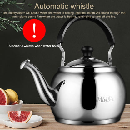 Stainless Steel Kettle Extra Thick Whistle Burning Kettle Home Teapot Large Capacity(5.8L Apple kettle) by bashfashion