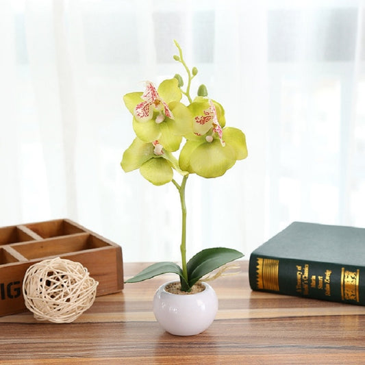 Decorative Landscaping Round Pot Three Flowers Phalaenopsis Bonsai Simulation Potted Plants(Green) by bashfashion