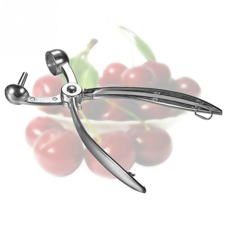Fruit Aluminum Alloy Corer Cherry Nucleator by bashfashion