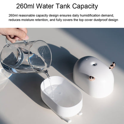SOTHING DSHJ-H-009 260ML Deer Air Humidifier USB Home Atmosphere Night Light Air Purifier(White) by bashfashion