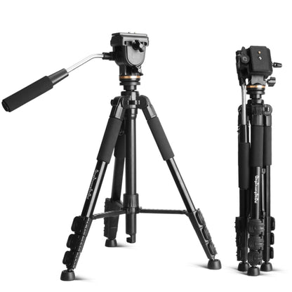 QingZhuangShiDai Q111S Aluminum Alloy Mobile Phone Camera Photography Tripod(Black) by QingZhuangShiDai