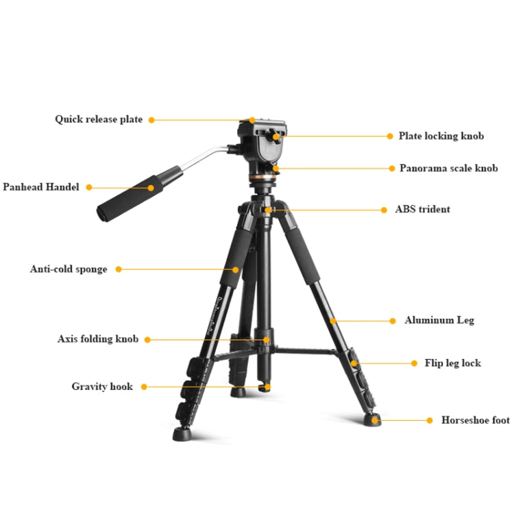 QingZhuangShiDai Q111S Aluminum Alloy Mobile Phone Camera Photography Tripod(Black) by QingZhuangShiDai