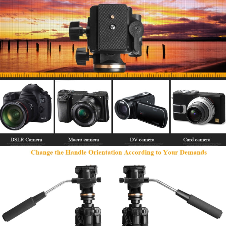 QingZhuangShiDai Q111S Aluminum Alloy Mobile Phone Camera Photography Tripod(Black) by QingZhuangShiDai