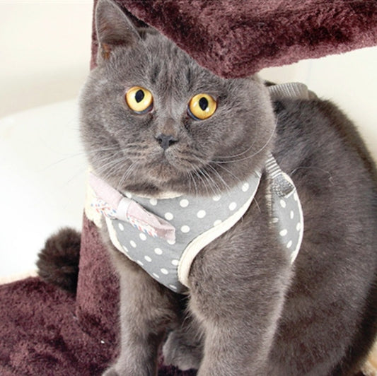 Pet Traction Rope Chest Harness Anti-break Away Vest Type Small Dog Walking Rope, Size:S(Gray) by bashfashion