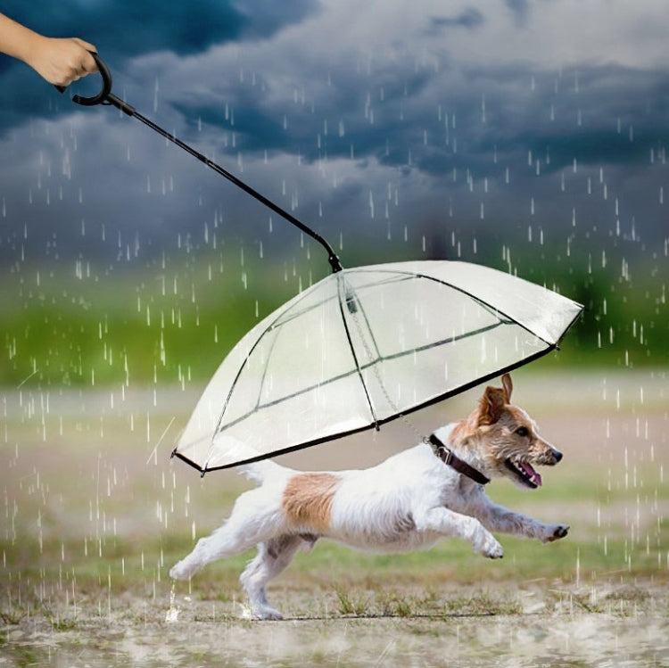 Pet Umbrella Transparent Adjustable Rainy Dog Walking Leash by bashfashion