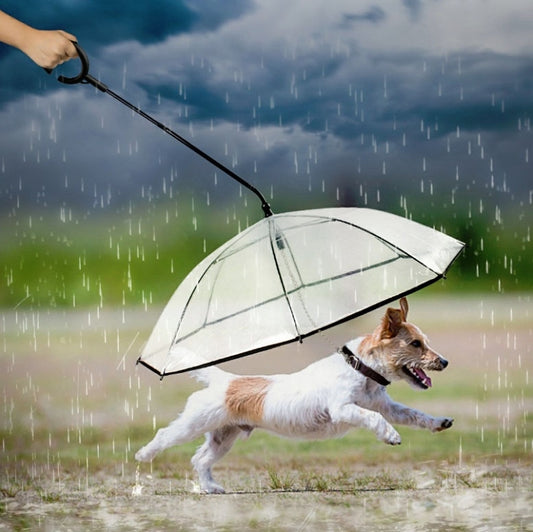 Pet Umbrella Transparent Adjustable Rainy Dog Walking Leash by bashfashion