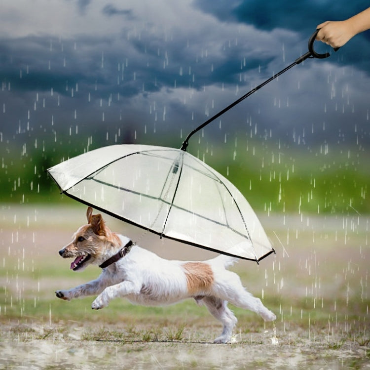 Pet Umbrella Transparent Adjustable Rainy Dog Walking Leash by bashfashion