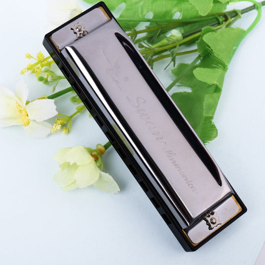 Swan 10 Holes Full-scale Bruce Harmonica Beginner Children Adult Students Playing Musical Instruments by bashfashion