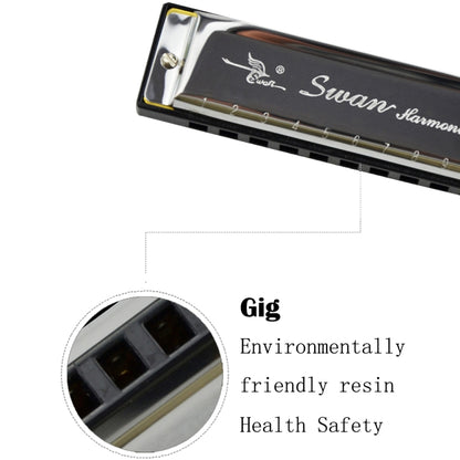 Swan 10 Holes Full-scale Bruce Harmonica Beginner Children Adult Students Playing Musical Instruments by bashfashion