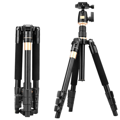Q555 4-Section Folding Legs Aluminum Alloy Tripod Mount Monopod Holder with Ball Head by bashfashion