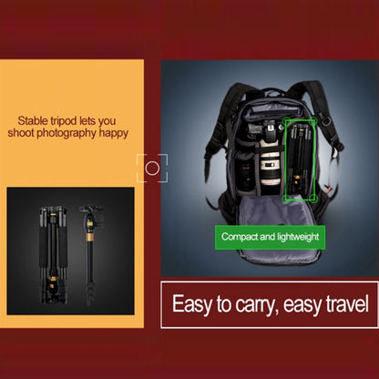 Q555 4-Section Folding Legs Aluminum Alloy Tripod Mount Monopod Holder with Ball Head by bashfashion