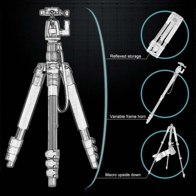 Q555 4-Section Folding Legs Aluminum Alloy Tripod Mount Monopod Holder with Ball Head by bashfashion