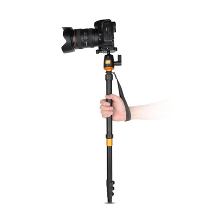 Q555 4-Section Folding Legs Aluminum Alloy Tripod Mount Monopod Holder with Ball Head by bashfashion