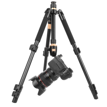 Q555 4-Section Folding Legs Aluminum Alloy Tripod Mount Monopod Holder with Ball Head by bashfashion