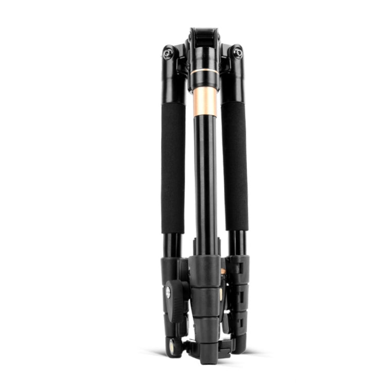Q555 4-Section Folding Legs Aluminum Alloy Tripod Mount Monopod Holder with Ball Head by bashfashion