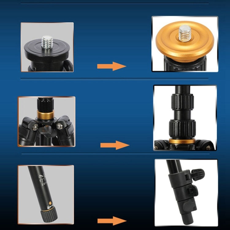 Q555 4-Section Folding Legs Aluminum Alloy Tripod Mount Monopod Holder with Ball Head by bashfashion