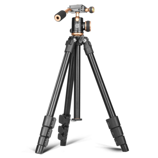 Q160s 4-Section Folding Legs Live Broadcast Aluminum Alloy Tripod Mount with Damping Tripod Ball-Head by bashfashion