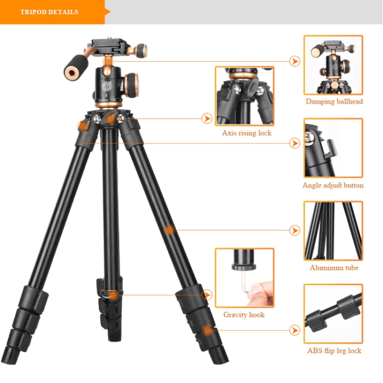 Q160s 4-Section Folding Legs Live Broadcast Aluminum Alloy Tripod Mount with Damping Tripod Ball-Head by bashfashion