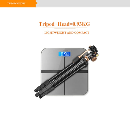 Q160s 4-Section Folding Legs Live Broadcast Aluminum Alloy Tripod Mount with Damping Tripod Ball-Head by bashfashion