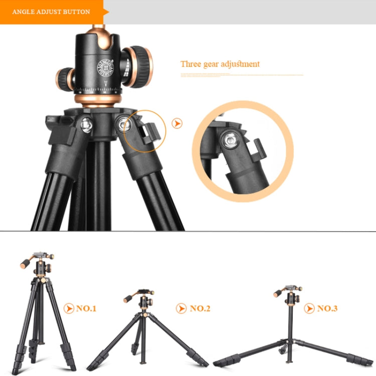 Q160s 4-Section Folding Legs Live Broadcast Aluminum Alloy Tripod Mount with Damping Tripod Ball-Head by bashfashion