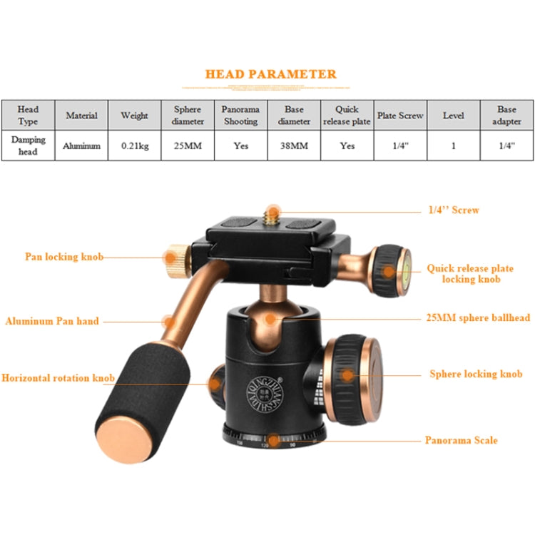 Q160s 4-Section Folding Legs Live Broadcast Aluminum Alloy Tripod Mount with Damping Tripod Ball-Head by bashfashion