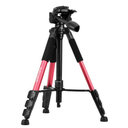 Q111 4-Section Folding Legs Live Broadcast Aluminum Alloy Tripod Mount with Three-dimensional Damping Tripod Heads(Red) by bashfashion