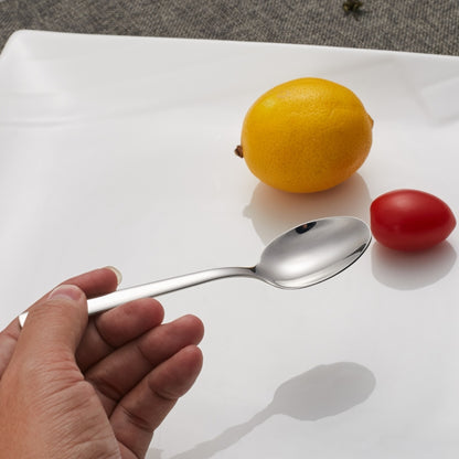 2 PCS Stainless Steel Long-Handled Ice Spoon Soup Spoon Coffee Dessert Western Food Spoon by bashfashion