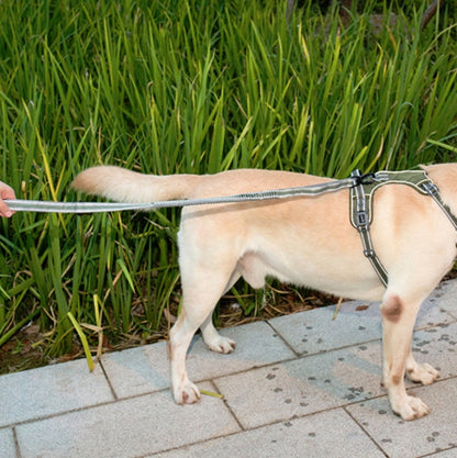 Dog Outdoor Anti-Scourge Traction Rope Nylon Reflective Elastic Stretch Dog Walking Rope( Green) by bashfashion