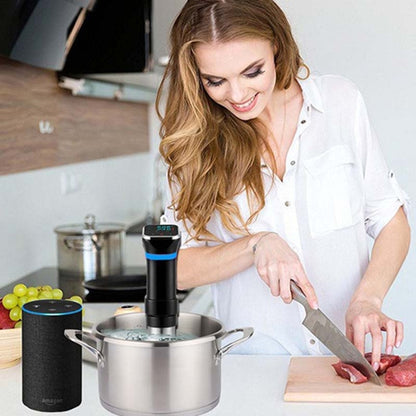 Low Temperature Slow Cooker Thawed Vacuum Steak Machine, Plug Type:US Plug by bashfashion
