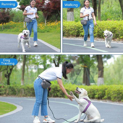 MOVEPEAK Pet Snack Bag Leash Pet Training Waist Bag Outing Dog Snack Bag(Gray) by bashfashion