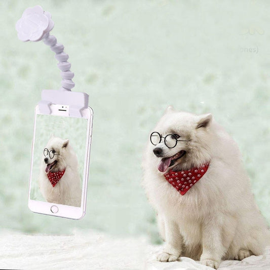 Pet Camera Artifact Dog Cat Looking At Camera Phone Clip(White) by bashfashion