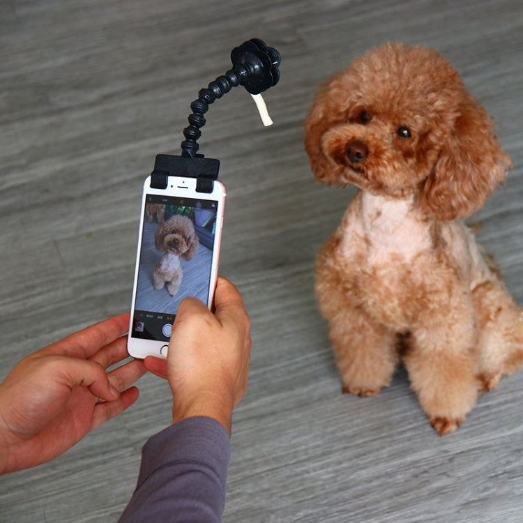 Pet Camera Artifact Dog Cat Looking At Camera Phone Clip(Black) by bashfashion
