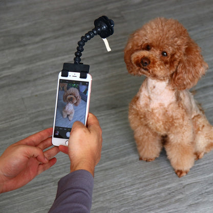 Pet Camera Artifact Dog Cat Looking At Camera Phone Clip(Black) by bashfashion