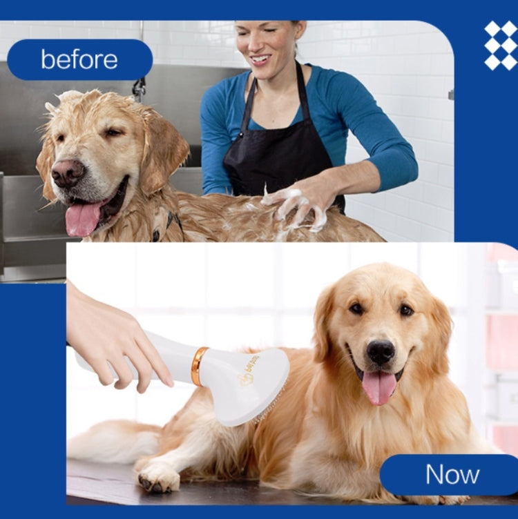 Pet Hair Dryer Cat & Dog Cleaning Electric Comb, Specification:US Plug(Green) by bashfashion